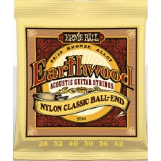 Ernieball P02069 Gitar Teli