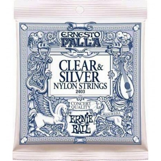 Ernieball P02403 Gitar Teli 