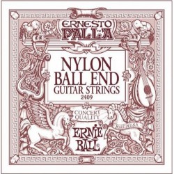 Ernieball P02409 Gitar Teli 