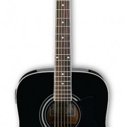 İbanez Akustik Gitar V72E