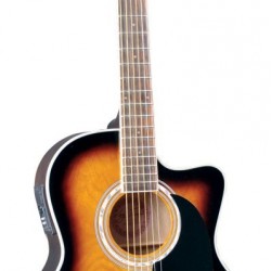 Jay Turser Akusik 444TSB