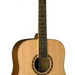Jay Turser Akustik Gitar 550 N