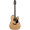 Takamine GD10CE-NS Akustik Gitar 5550137255
