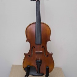 Picaldi VG107 4/4 Antik Keman