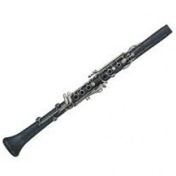 Leblanc Bliss Plastik Klarnet LB320VNPC