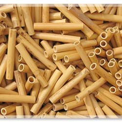 Rigotti Fagot Kargısı TB