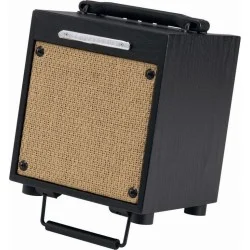 Ibanez Akustik Enstruman Amplisi T10-U