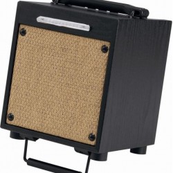 Ibanez Akustik Enstruman Amplisi T10-U