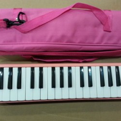 Picaldi 32 Tuşlu Çantalı Melodika ME32